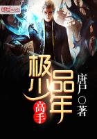 極品少年高手